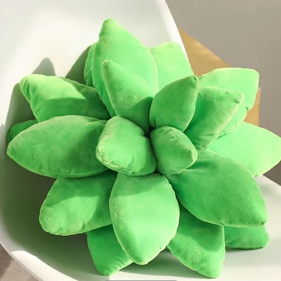Other - Large Succulent Pillow - NIP
